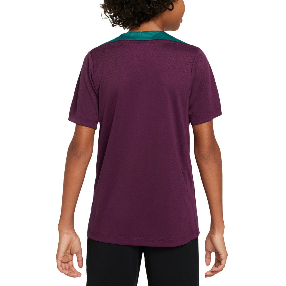 Nike Paris Saint-Germain Youth 2024/25 Strike Training Performance Top - Burgundy