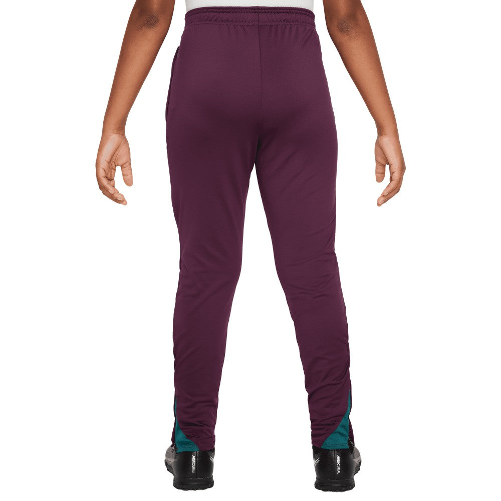 Nike Paris Saint-Germain Youth 2024/25 Strike Training Pants - Burgundy