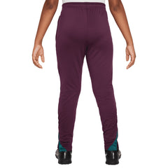 Nike Paris Saint-Germain Youth 2024/25 Strike Training Pants - Burgundy