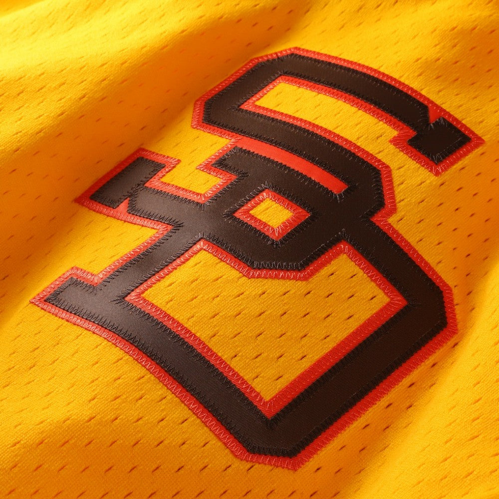Tony Gwynn San Diego Padres Mitchell & Ness Authentic Batting Practice Jersey Sale