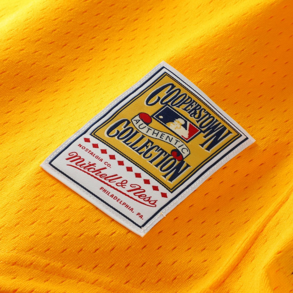 Tony Gwynn San Diego Padres Mitchell & Ness Authentic Batting Practice Jersey Sale