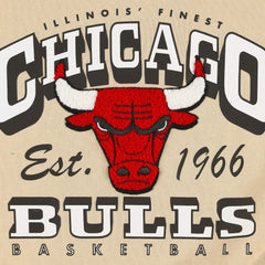 NBA - Chicago Bulls Qore Women's Oversized Cozy Mock Neck Pullover Sweatshirt - Cream