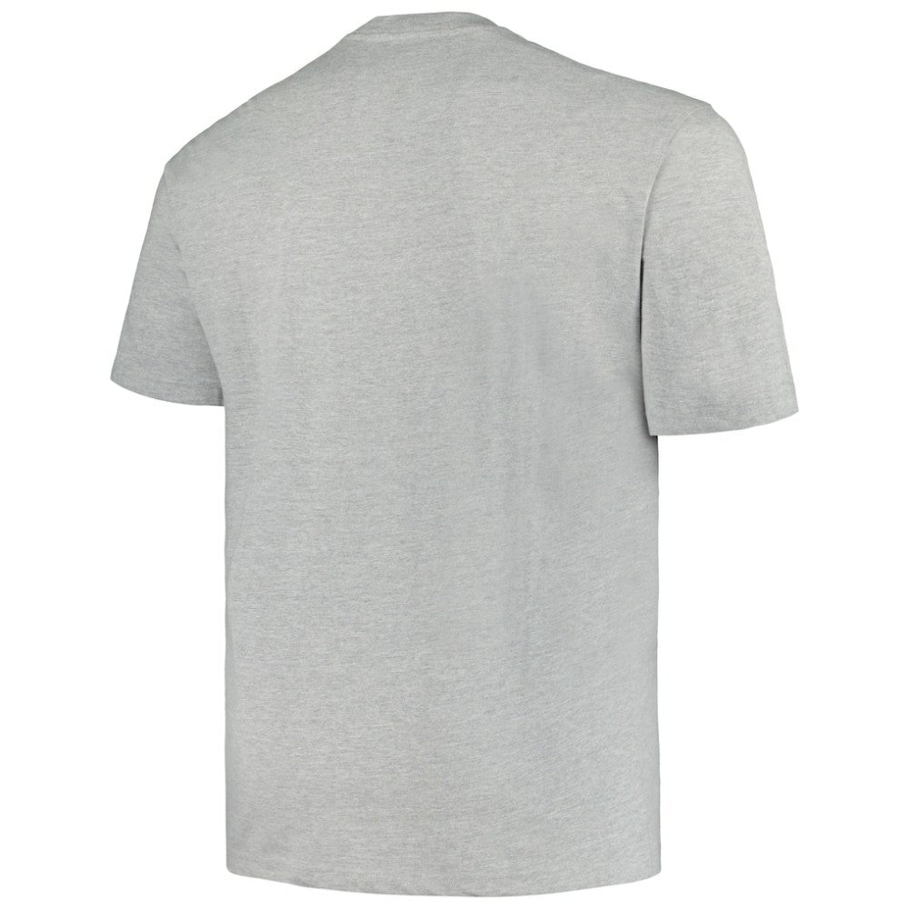 Minnesota Wild - Profile Big & Tall Arch Over Logo T-Shirt Heather Gray