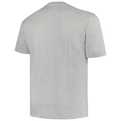 Minnesota Wild - Profile Big & Tall Arch Over Logo T-Shirt Heather Gray