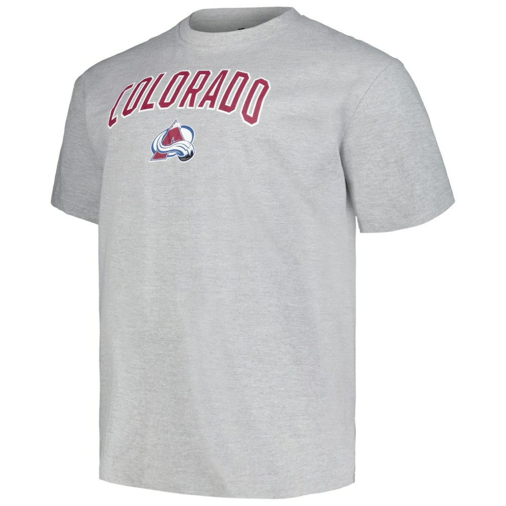 Colorado Avalanche - Profile Big & Tall Arch Over Logo T-Shirt Heather Gray
