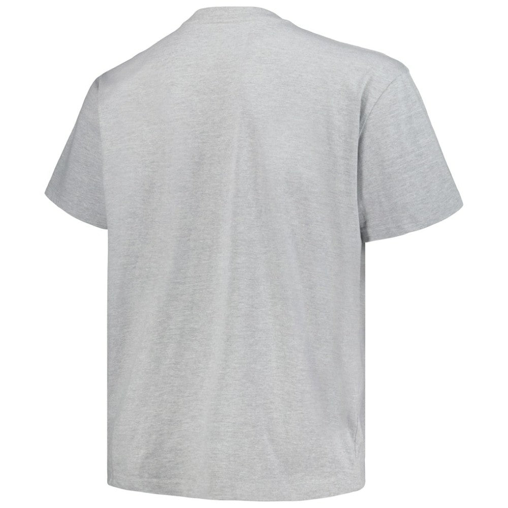 Colorado Avalanche - Profile Big & Tall Arch Over Logo T-Shirt Heather Gray