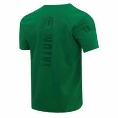 NBA - Jayson Tatum Boston Celtics Pro Standard Triple Tonal Player T-Shirt - Kelly Green