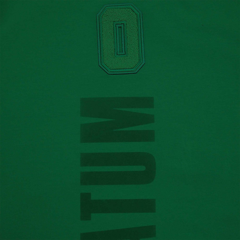 NBA - Jayson Tatum Boston Celtics Pro Standard Triple Tonal Player T-Shirt - Kelly Green