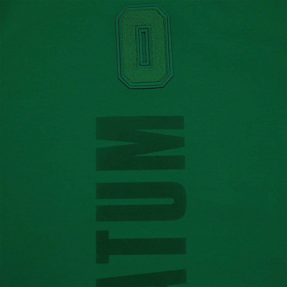 NBA - Jayson Tatum Boston Celtics Pro Standard Triple Tonal Player T-Shirt - Kelly Green
