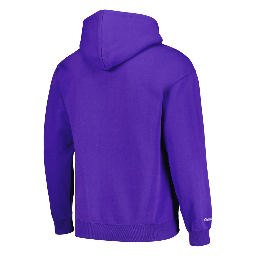 Mitchell & Ness - Phoenix Suns Hardwood Classics Tonal Pullover Hoodie - Purple
