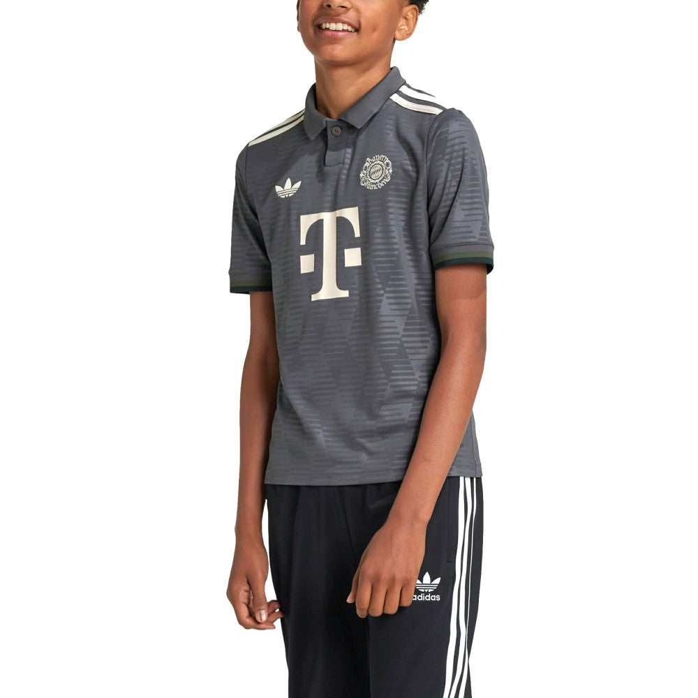 Adidas Bayern Munich Youth 2024/25 Wiesn Replica Jerseys - Gray
