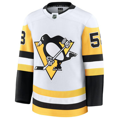 Kris Letang Pittsburgh Penguins Fanatics Premium Jersey - White | NHL Jerseys
