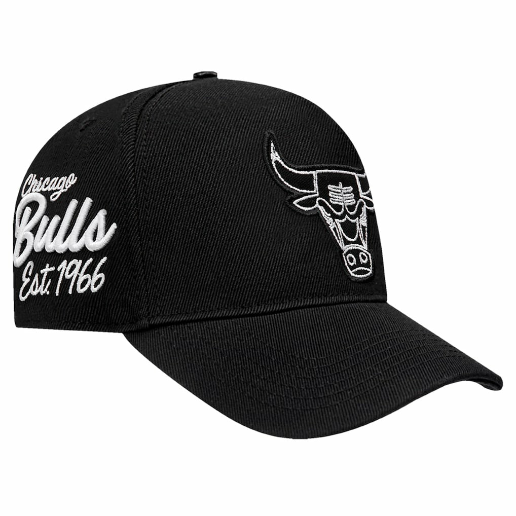 NBA - Chicago Bulls Pro Standard Paint the City Pinch Front Snapback Hat - Black