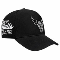 NBA - Chicago Bulls Pro Standard Paint the City Pinch Front Snapback Hat - Black