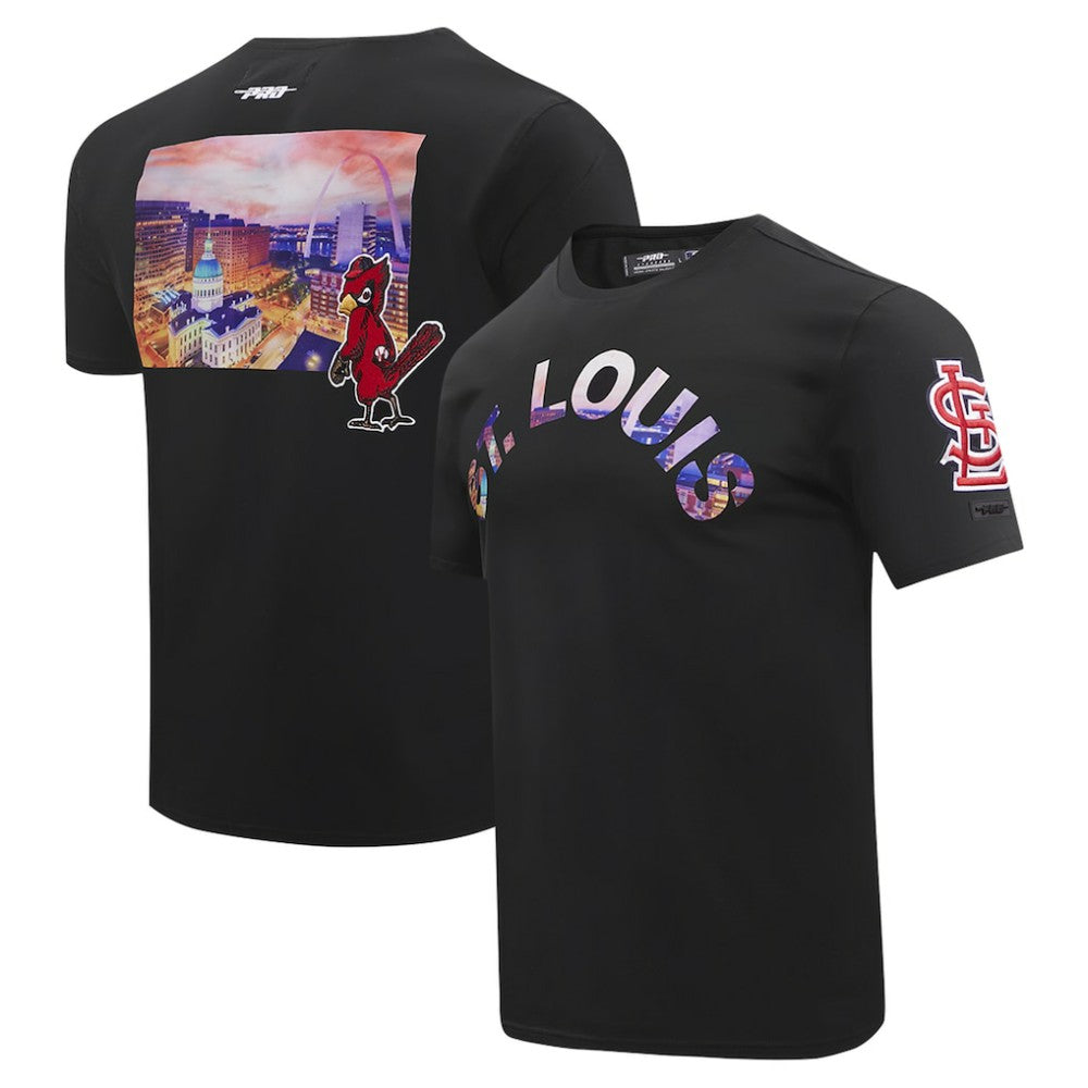 St. Louis Cardinals Pro Standard Cityscape T-Shirt Online