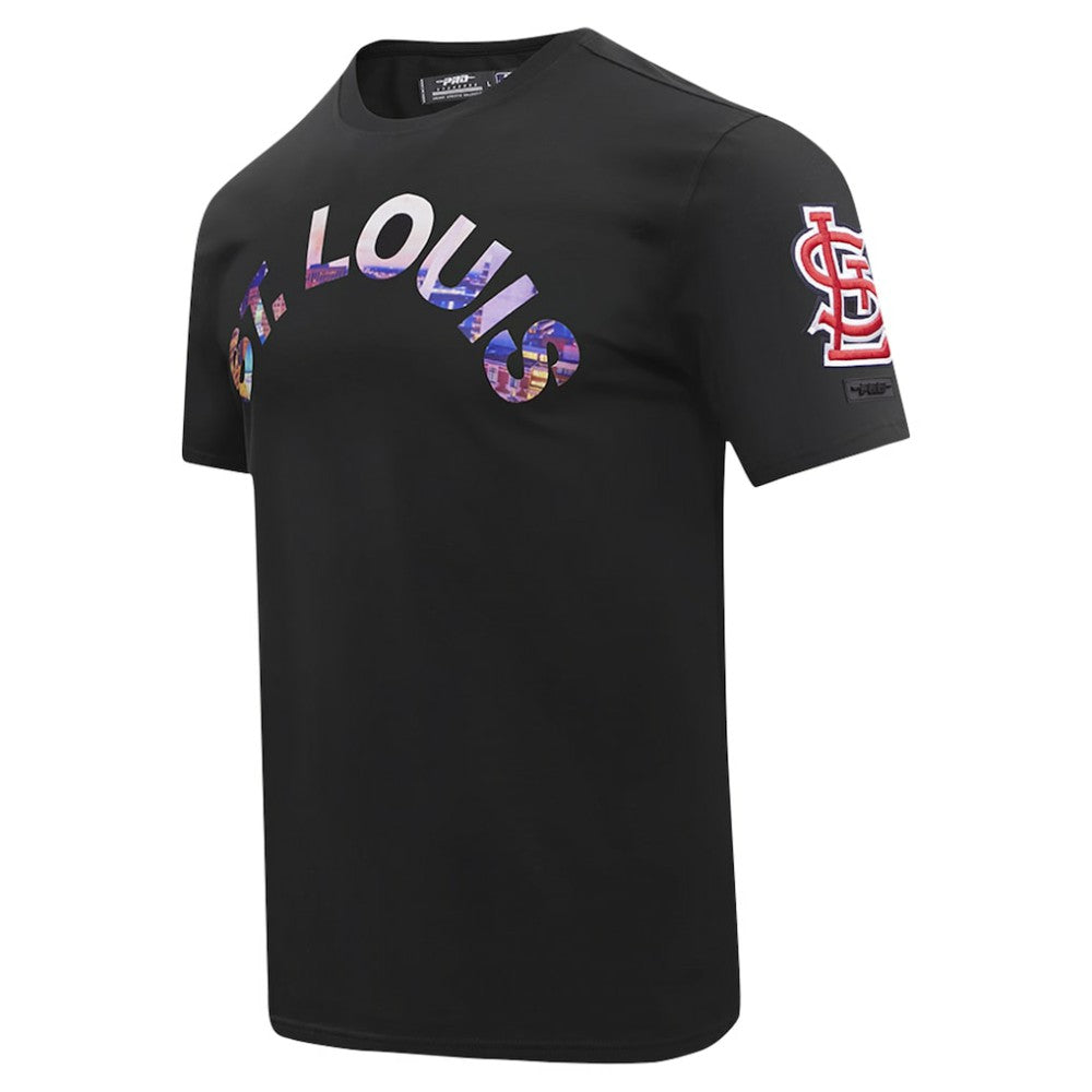 St. Louis Cardinals Pro Standard Cityscape T-Shirt Online