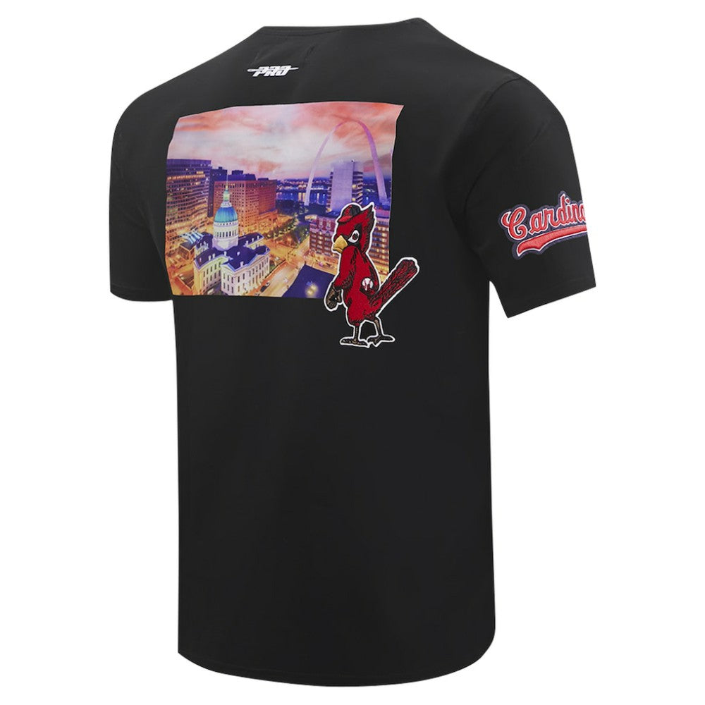 St. Louis Cardinals Pro Standard Cityscape T-Shirt Online