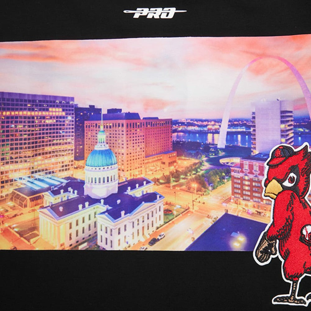 St. Louis Cardinals Pro Standard Cityscape T-Shirt Online