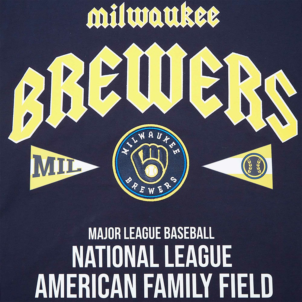 Milwaukee Brewers Pro Standard Oversized City Tour T-Shirt Near Me