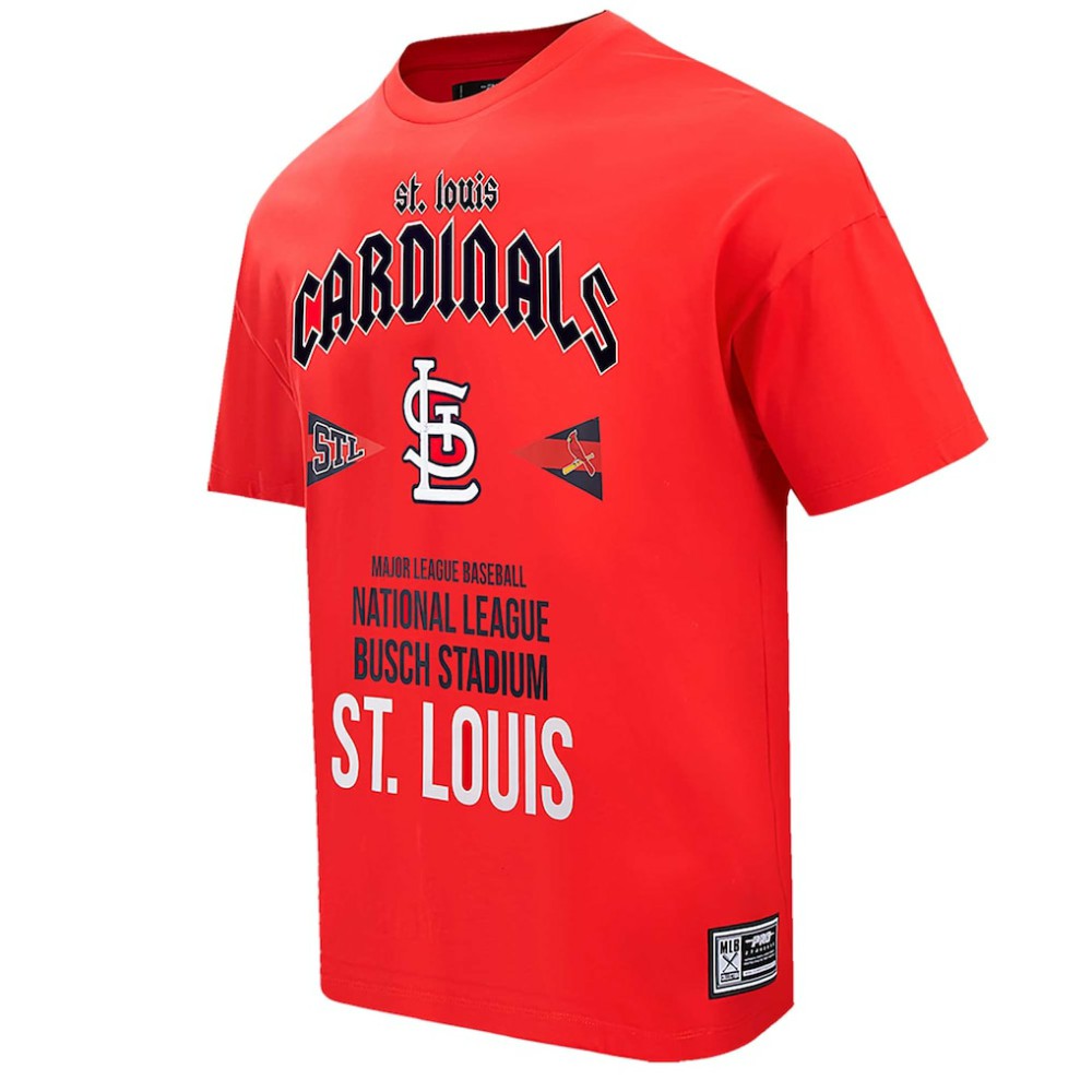 St. Louis Cardinals Pro Standard Oversized City Tour T-Shirt Near Me