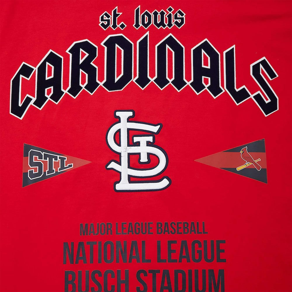 St. Louis Cardinals Pro Standard Oversized City Tour T-Shirt Near Me