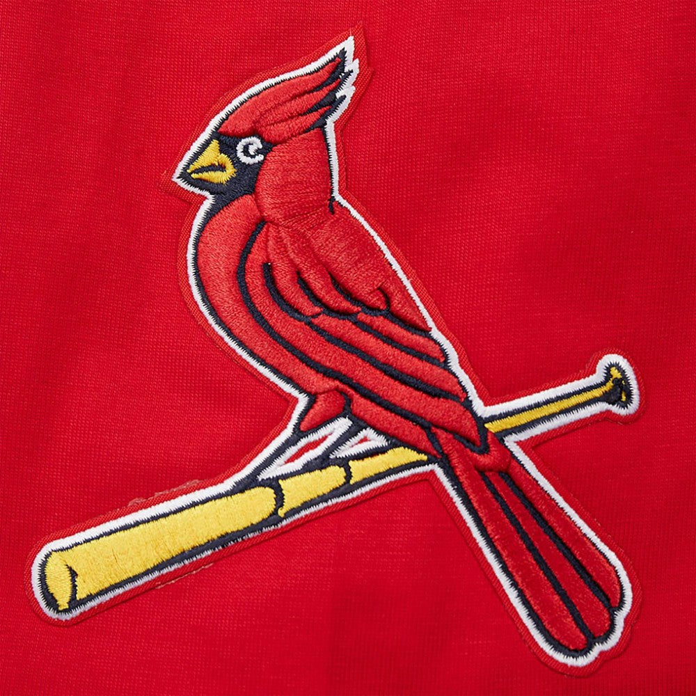 St. Louis Cardinals Pro Standard Oversized City Tour T-Shirt Near Me