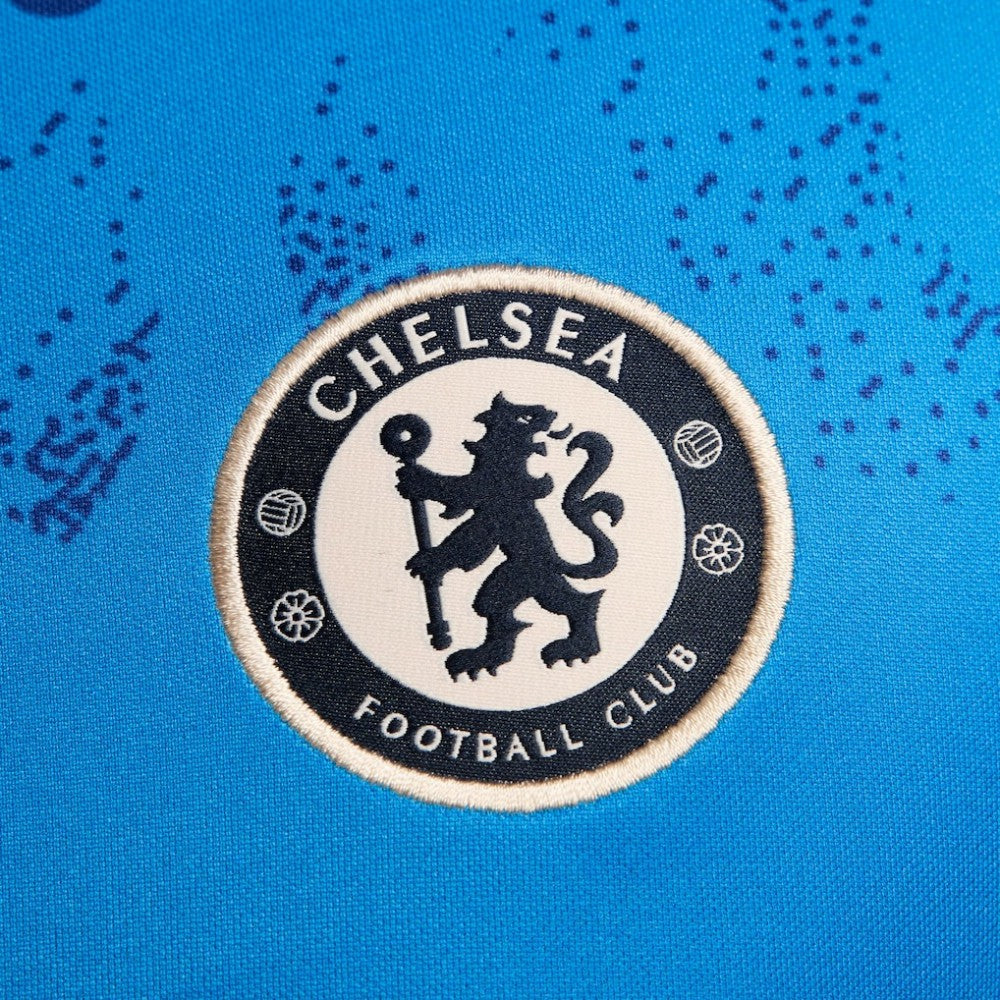 Nike Chelsea 2024/25 Academy Pro Pre-Match Top - Blue