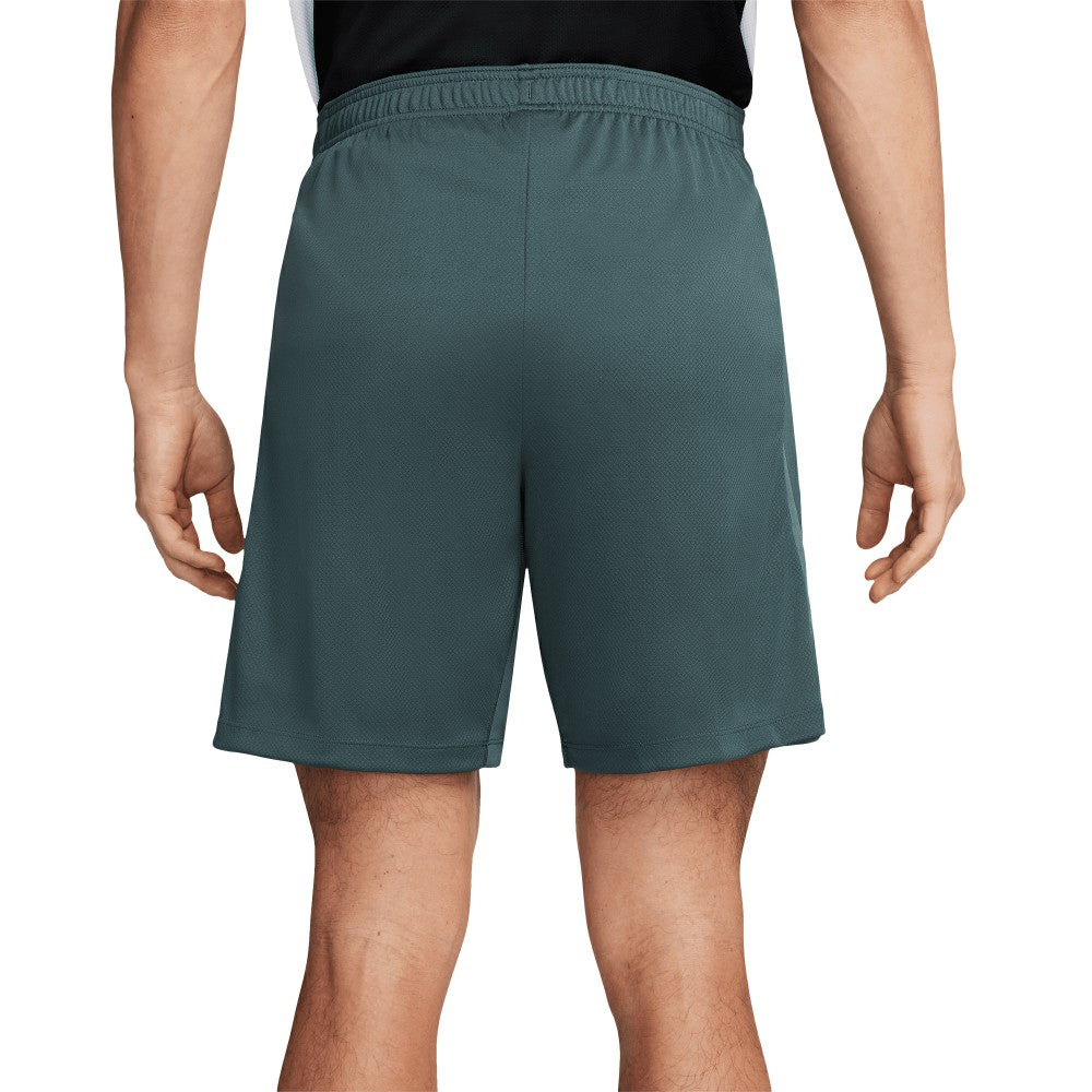 Nike Tottenham Hotspur 2024/25 Third Strike Training Performance Shorts - Green