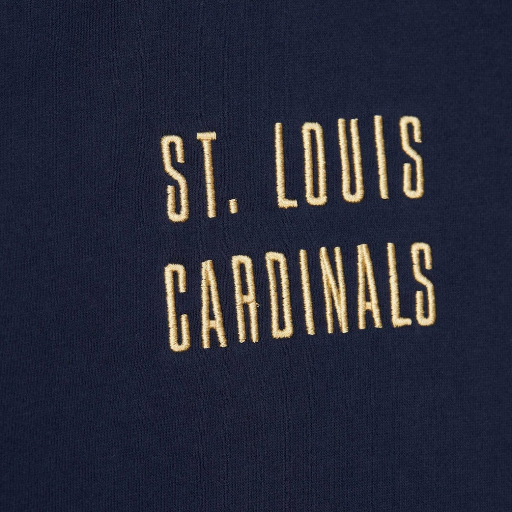 St. Louis Cardinals Mitchell & Ness Team OG 2.0 Current Logo Pullover Hoodie for sale
