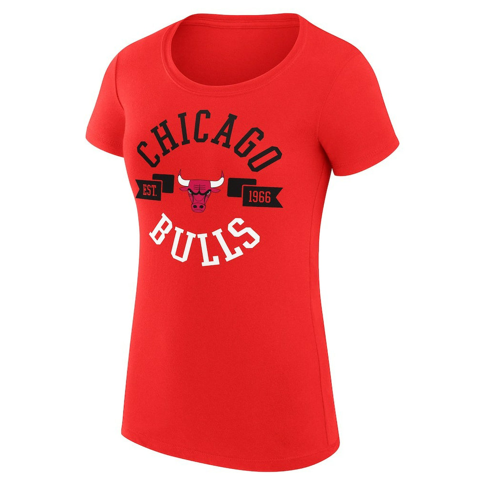 NBA - Chicago Bulls G-III 4Her by Carl Banks Women's Super-Slim Fit Lightweight Large City Logo T-Shirt - Red