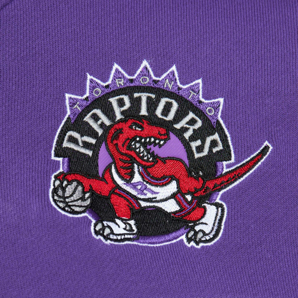 Mitchell & Ness - Toronto Raptors Head Coach Pullover Hoodie - Red/Purple