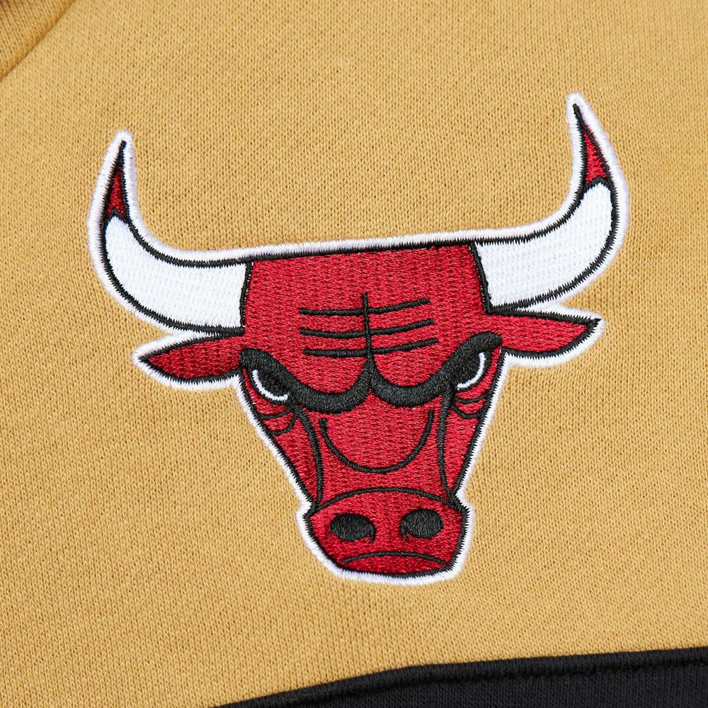 Mitchell & Ness - Chicago Bulls Head Coach Pullover Hoodie - Red/Gold
