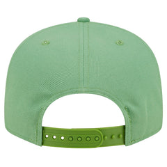 Dallas Cowboys New Era Tonal Color Pack 9FIFTY Snapback Hat Green - NFL