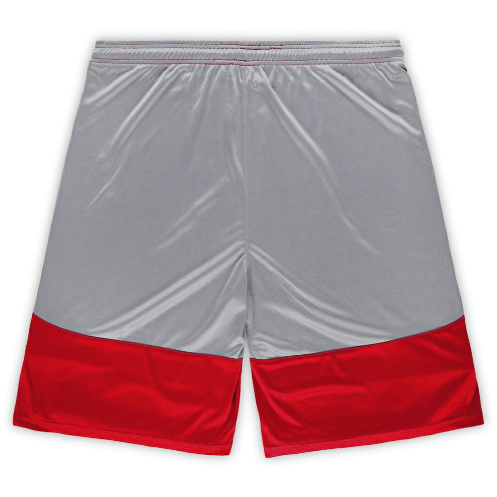 San Francisco 49ers Big & Tall Team Logo Shorts Scarlet - Fanatics