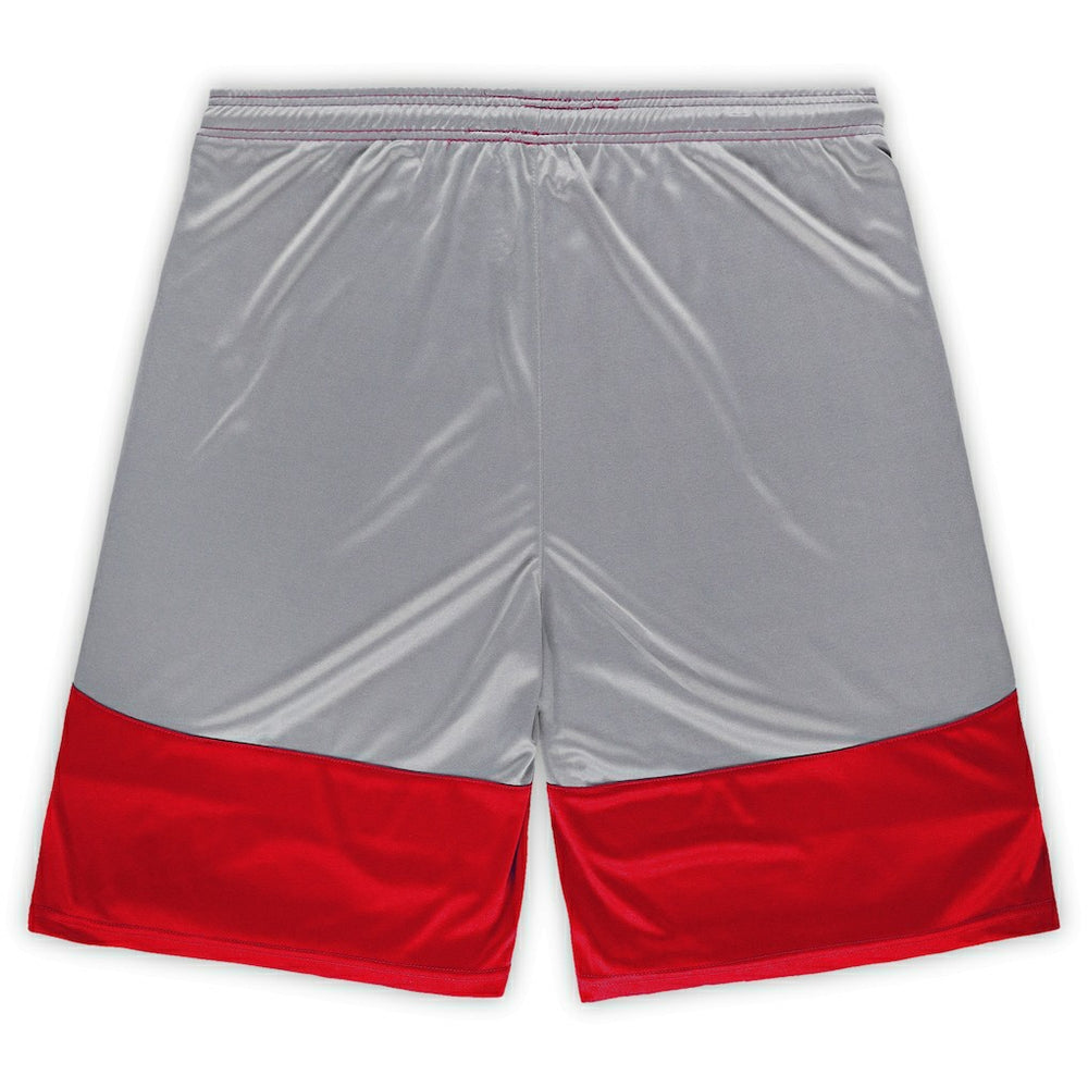 Arizona Cardinals Big & Tall Team Logo Shorts Cardinal - Fanatics
