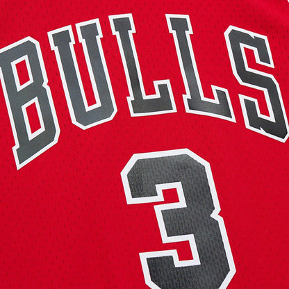 Dwyane Wade Chicago Bulls 2016/17 Hardwood Classics Swingman Jersey sale - Red | NBA Jerseys