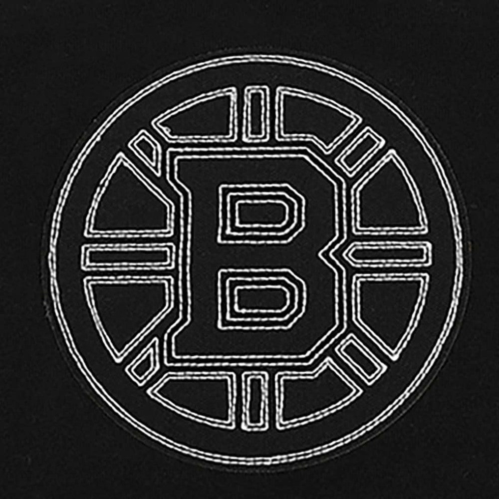 Boston Bruins Pro Standard Paint the City Pullover Hoodie Black