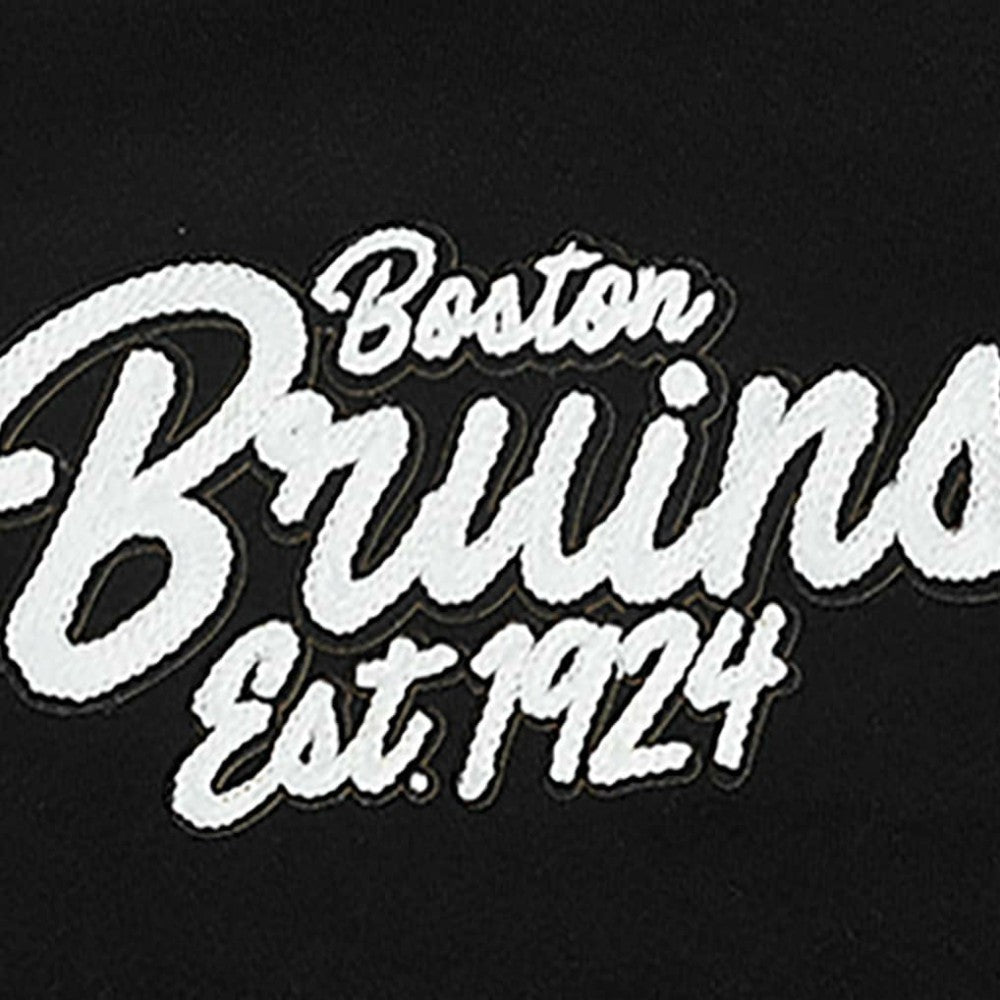 Boston Bruins Pro Standard Paint the City Pullover Hoodie Black