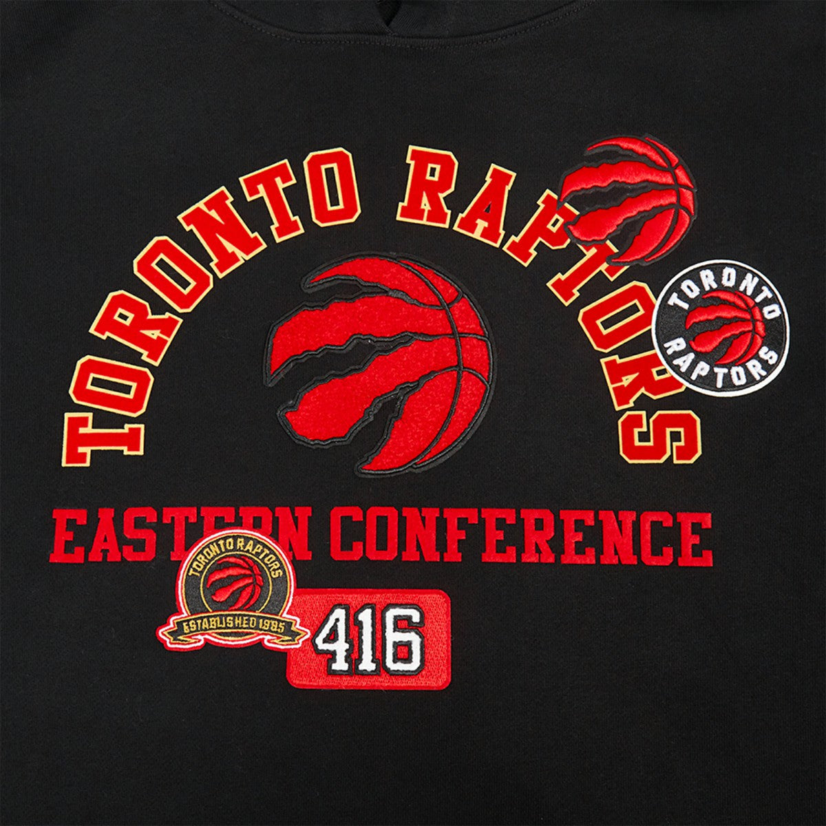 NBA - Toronto Raptors Pro Standard Area Code Pullover Hoodie - Black
