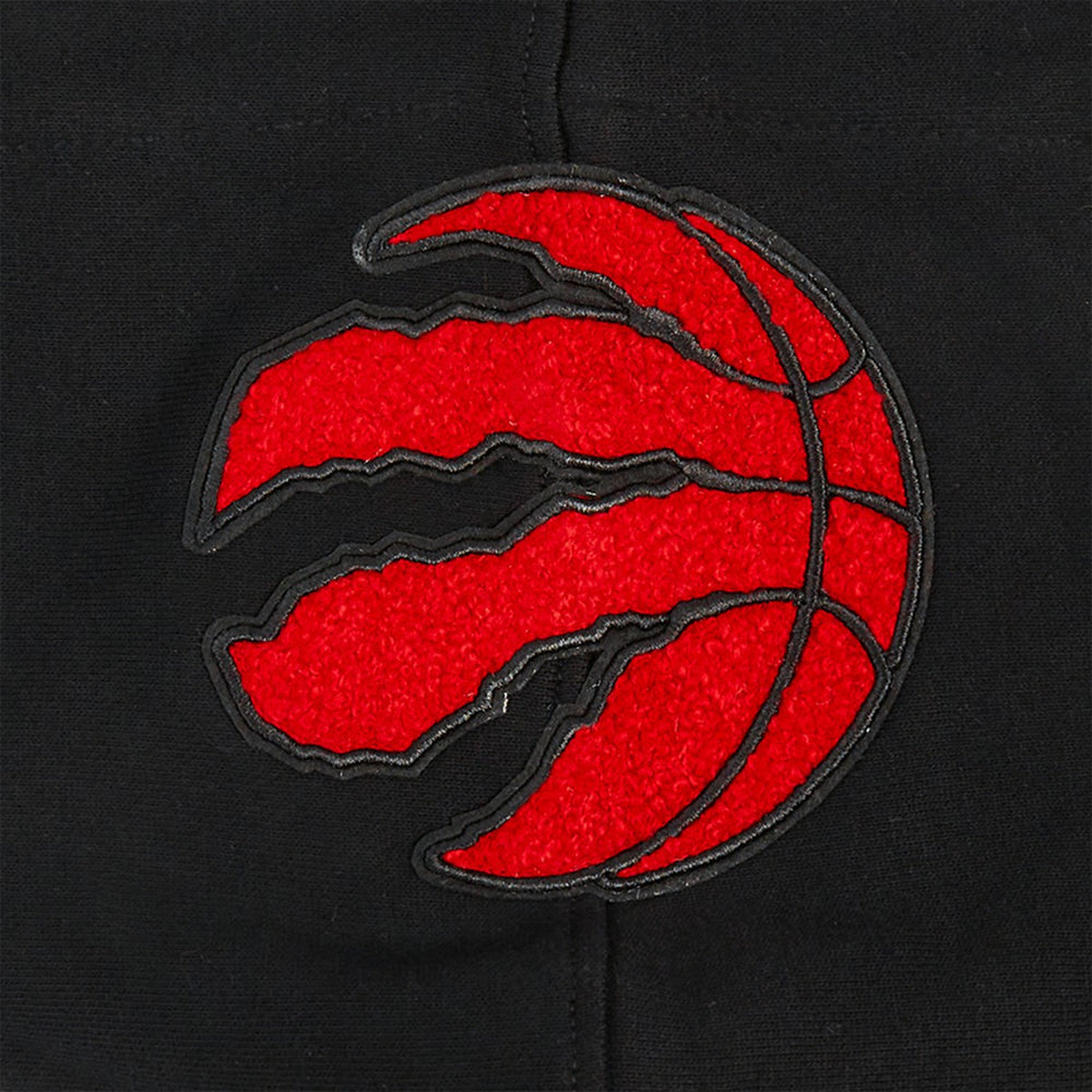NBA - Toronto Raptors Pro Standard Area Code Pullover Hoodie - Black