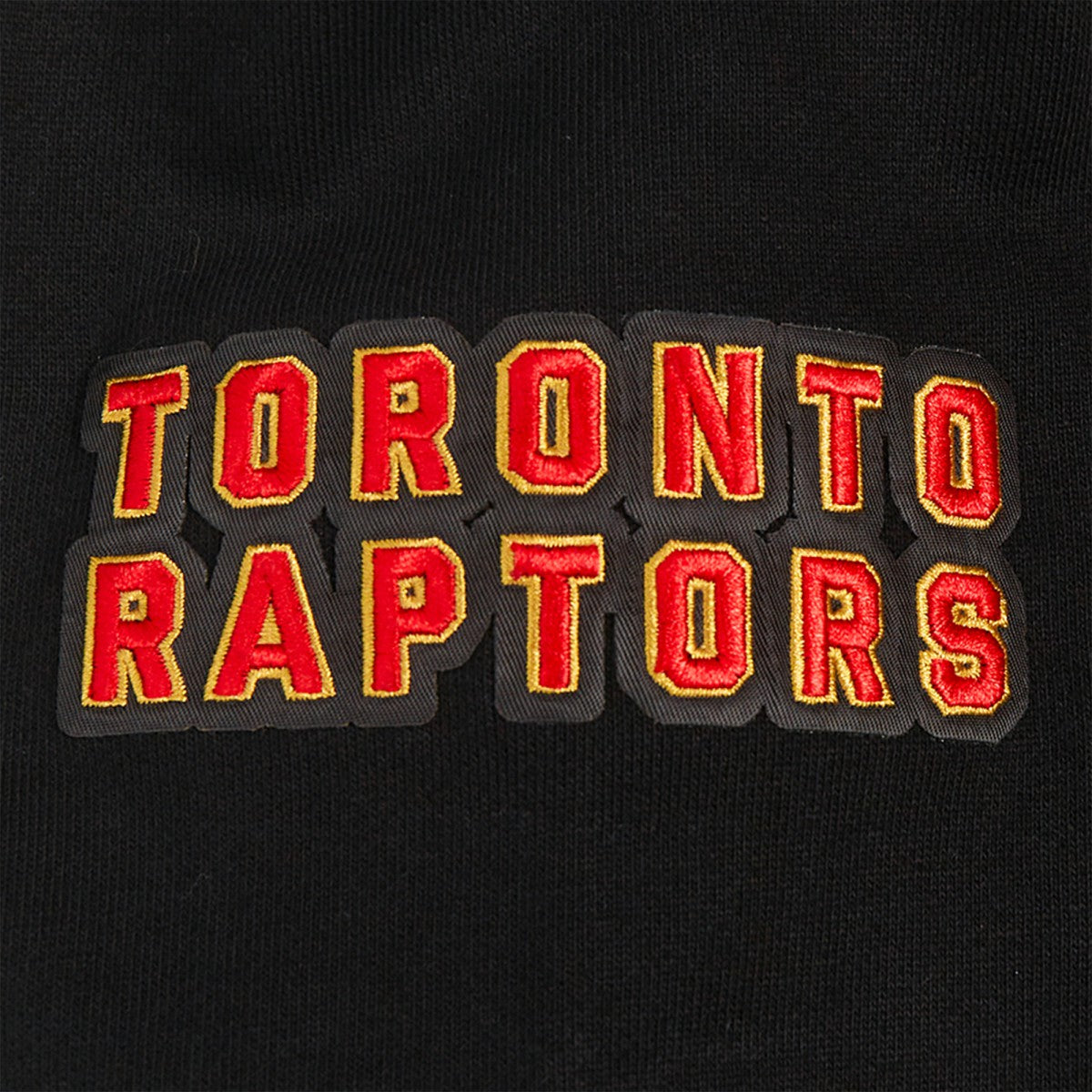 NBA - Toronto Raptors Pro Standard Area Code Pullover Hoodie - Black