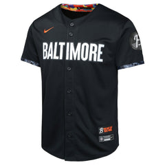 Adley Rutschman Baltimore Orioles Nike Youth City Connect Limited Player Jersey Near Me