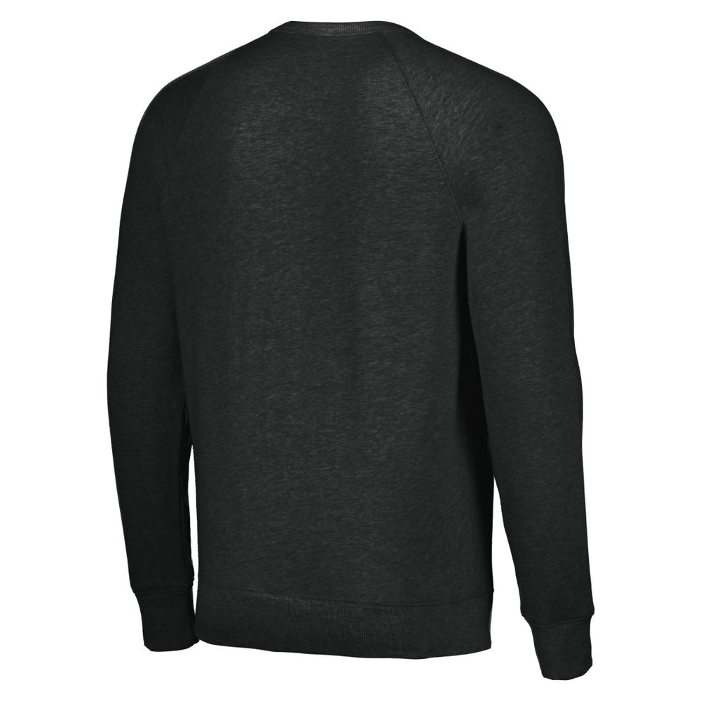 Houston Texans Homage Unisex Color Rush Crest Tri-Blend Pullover Sweatshirt Charcoal - NFL