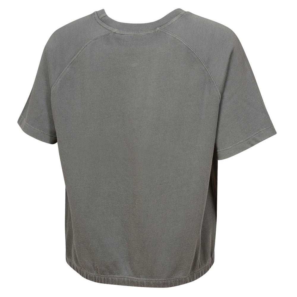 Detroit Lions Women's Mineral Wash Short Sleeve Top Gray - NFL