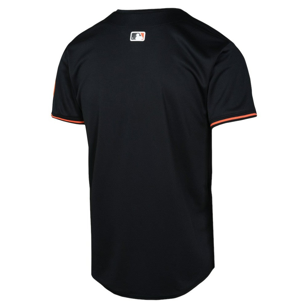 Baltimore Orioles Nike Youth Alternate Limited Jersey Near Me