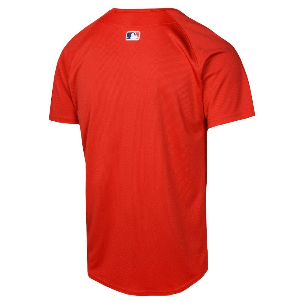 Boston Red Sox Nike Youth Alternate Limited Jersey Clearance