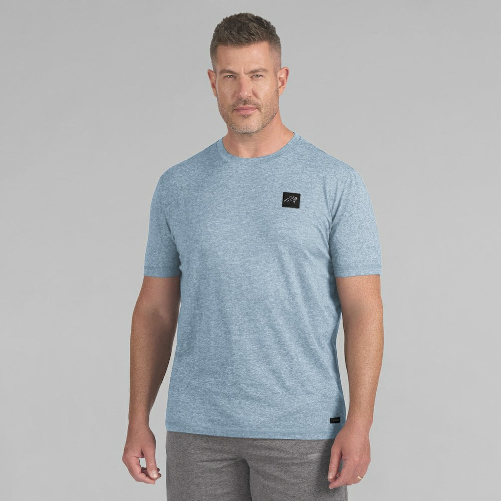 Carolina Panthers J. Palmer Four Down T-Shirt Blue - NFL