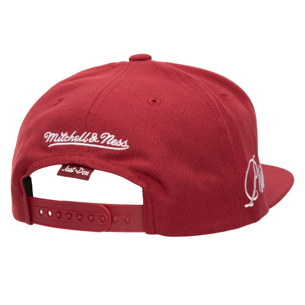 Philadelphia Phillies Mitchell & Ness Just Don x MLB Lux Script Snapback Hat Lifestyle