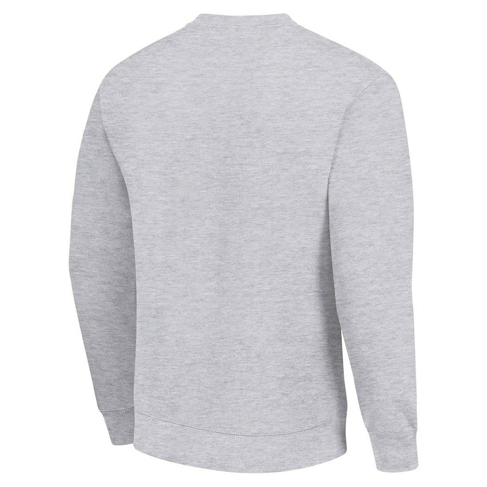 Buffalo Bills Starter Color Scratch Team Graphic Fleece Pullover Sweatshirt Heather Gray - NFL