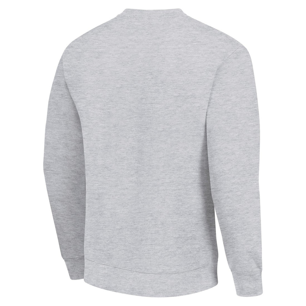 Detroit Lions Starter Color Scratch Team Graphic Fleece Pullover Sweatshirt Heather Gray - NFL